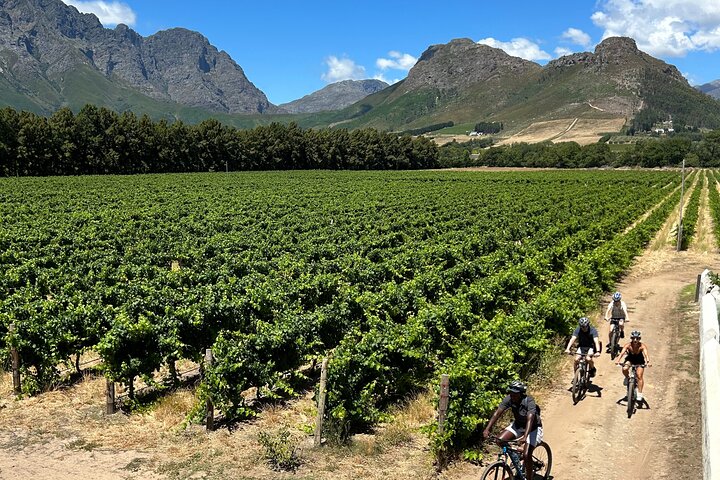 Franschhoek E-bike Ride & Wine w.Lunch