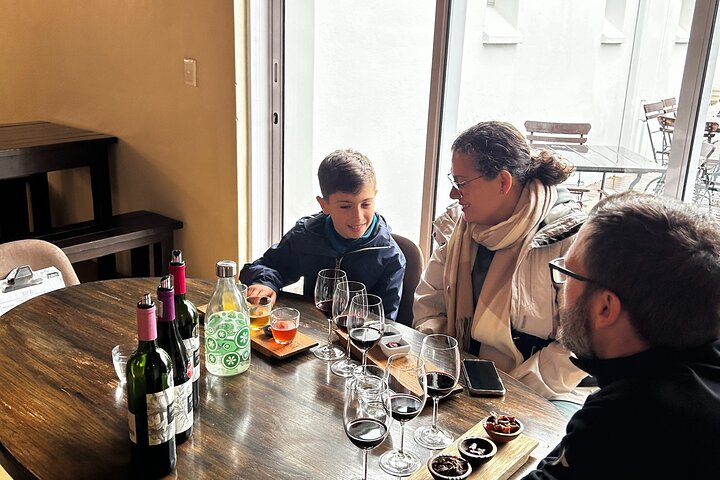 Franschhoek E-bike Ride & Wine w.Lunch