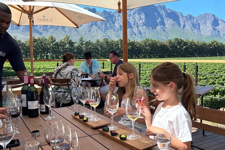 Franschhoek E-bike Ride & Wine w.Lunch