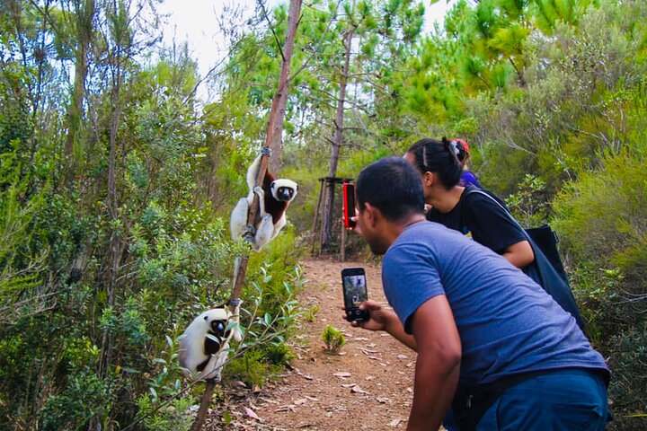 Day Tour from Tana: to Mantasoa Lake & Nosy soa Park
