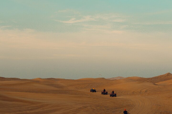 1 Hour Dakhla Bike Quad Experience