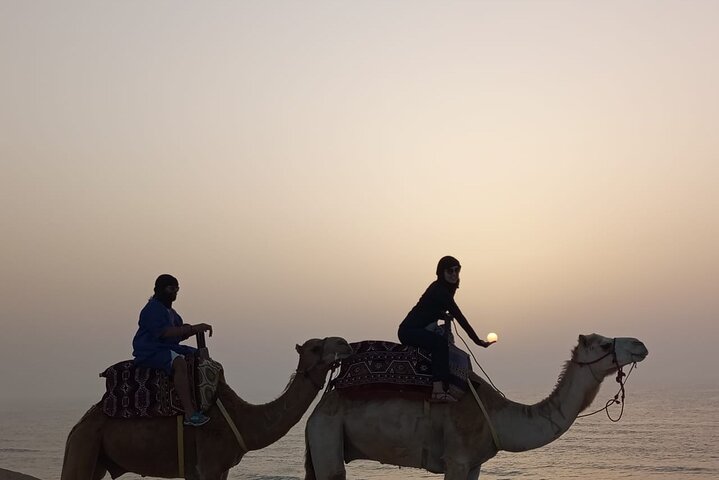 Dakhla Camel Ride Experience