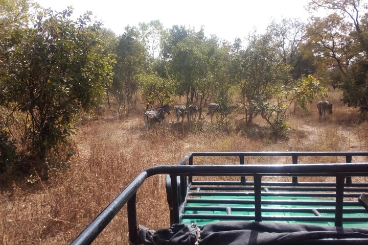 Gambia to Senegal Tour with Ferry Crossing and Safari Park
