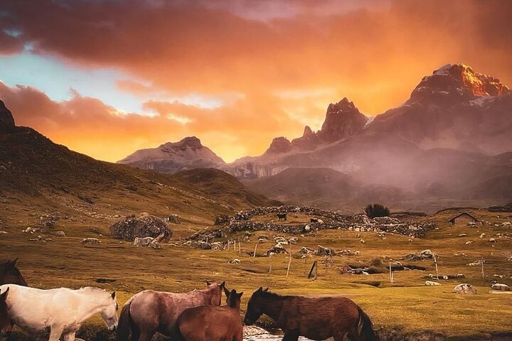 Huaraz: Huayhuash Trek - 5 Days