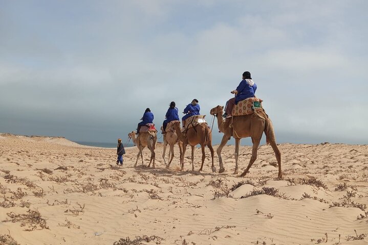 Dakhla Camel Ride Experience