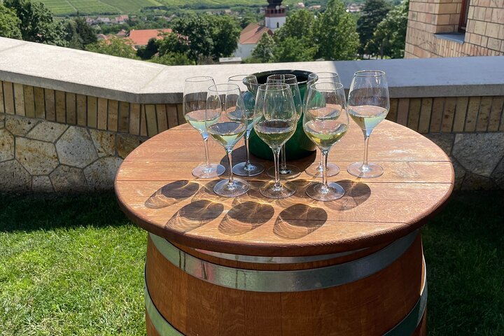 Tokaj Sky Bridge with Wine Experience