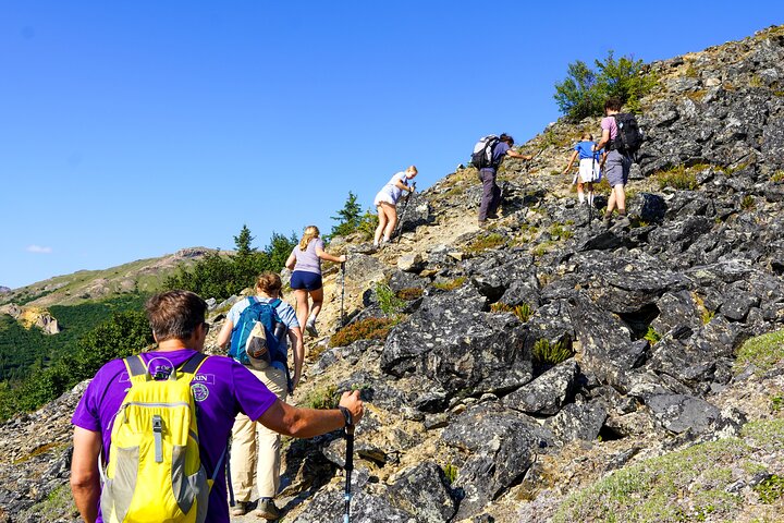 Denali Alaska Range 5hr Mountain Hike w/Views & Naturalist Guide