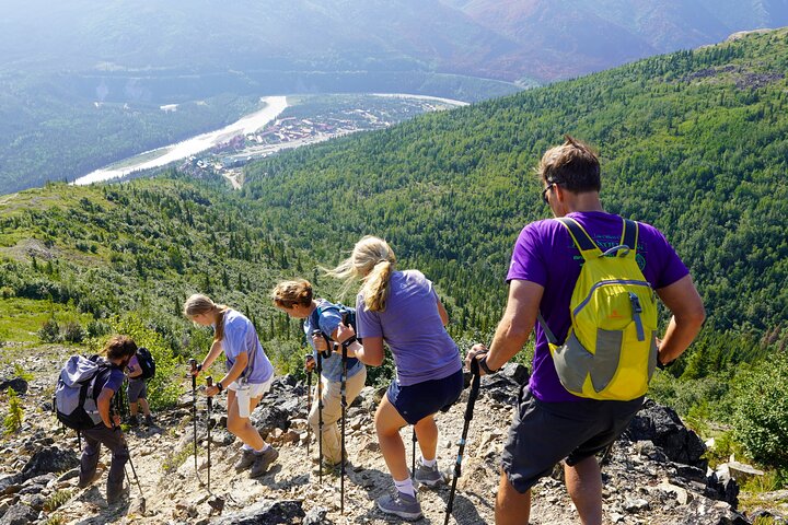 Denali Alaska Range 5hr Mountain Hike w/Views & Naturalist Guide