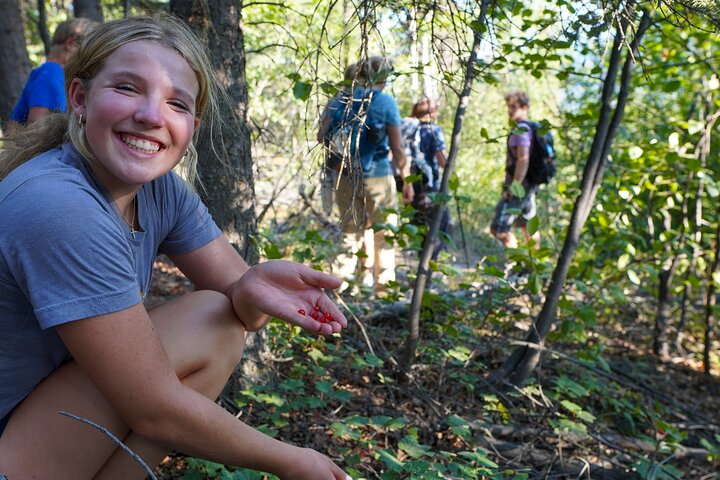 Denali Alaska Range 5hr Mountain Hike w/Views & Naturalist Guide