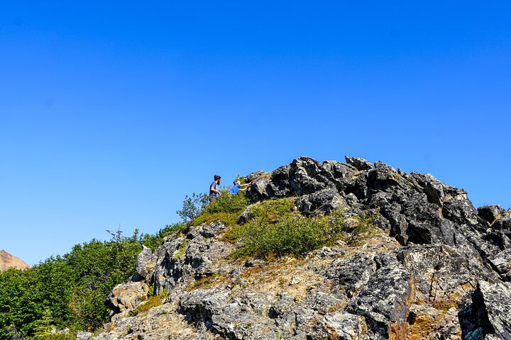 Denali Alaska Range 5hr Mountain Hike w/Views & Naturalist Guide