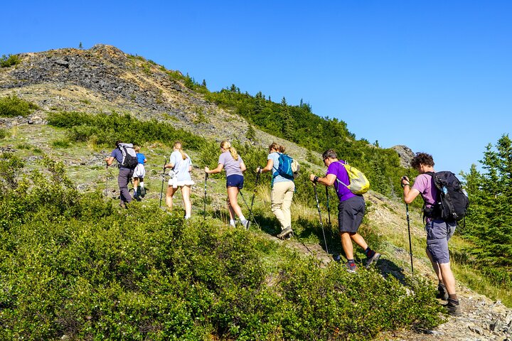Denali Alaska Range 5hr Mountain Hike w/Views & Naturalist Guide