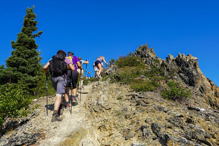 Denali Alaska Range 5hr Mountain Hike w/Views & Naturalist Guide