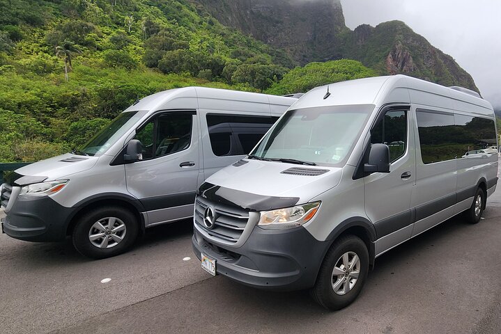 Maui: Famous Road to Hana Waterfalls and Lunch by Mercedes Van