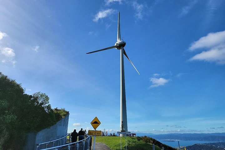 Wellington City to Coast Highlights Tour (with Lunch)