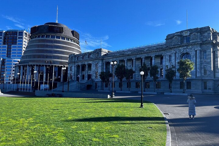 Wellington City to Coast Highlights Tour (with Lunch)