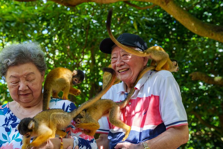 【Customizable】Ishigaki Private Tour -Up to 4 People, Flat Rate-