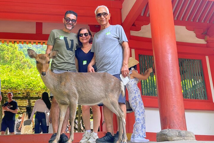 World Heritage Kyoto & Nara Uji Authentic Matcha Experience