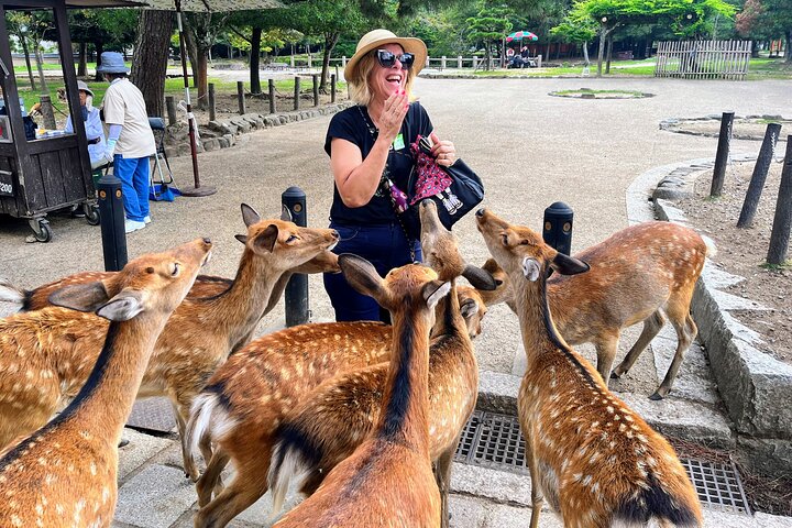 World Heritage Kyoto & Nara Uji Authentic Matcha Experience