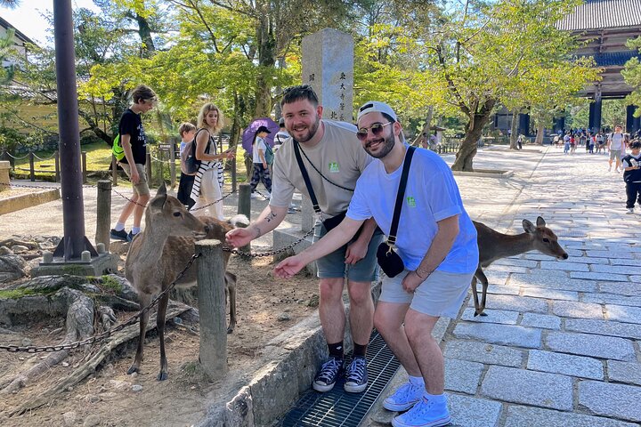World Heritage Kyoto & Nara Uji Authentic Matcha Experience