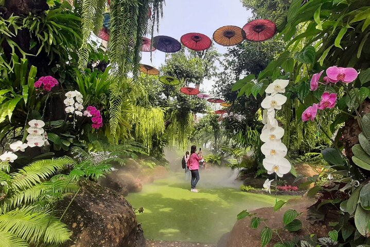 Chiang Rai Temples Day Trip from Chiang Mai