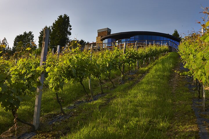 Bilbao: Gaztelugatxe, Bermeo, Mundaka and Gernika with Txakoli