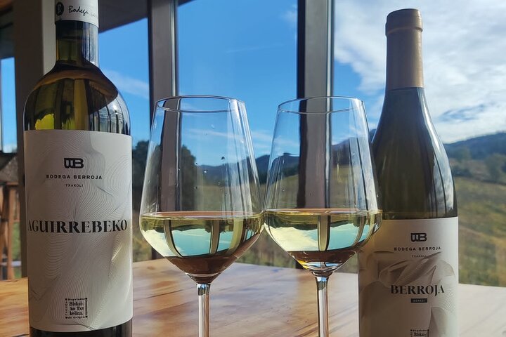 Bilbao: Gaztelugatxe, Bermeo, Mundaka and Gernika with Txakoli