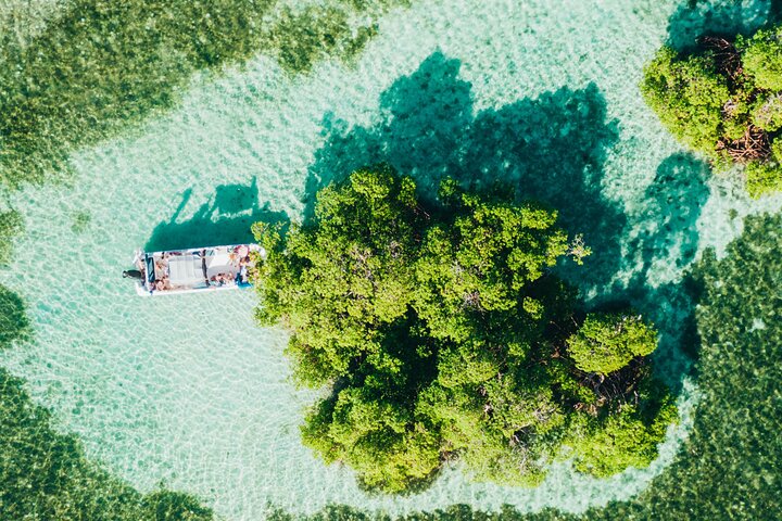 Visite guidée en français en bateau : Mangrove, ilets, snorkeling