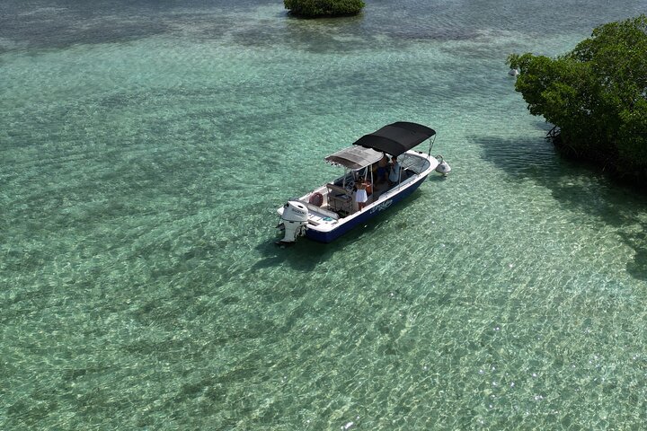 Visite guidée en français en bateau : Mangrove, ilets, snorkeling