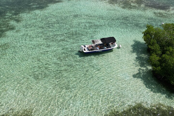 Visite guidée en français en bateau : Mangrove, ilets, snorkeling