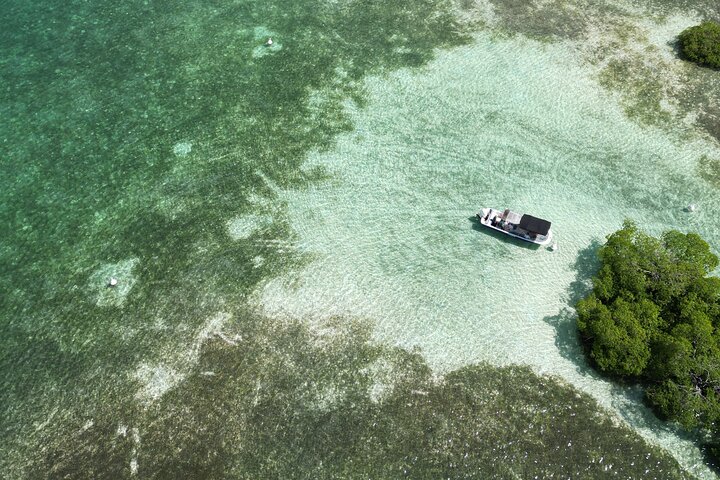 Visite guidée en français en bateau : Mangrove, ilets, snorkeling