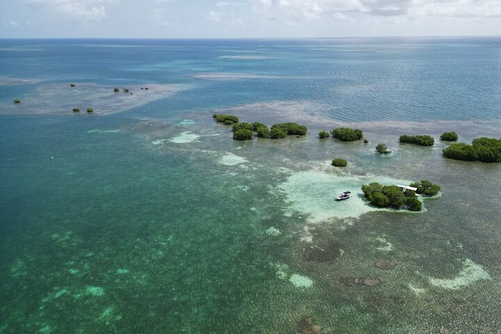 Visite guidée en français en bateau : Mangrove, ilets, snorkeling