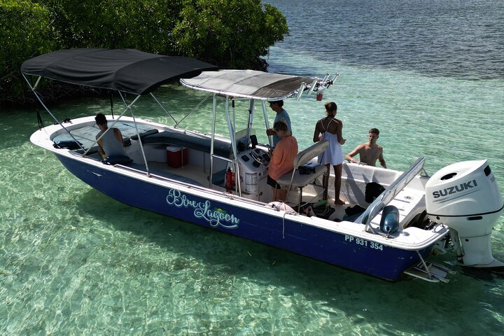 Visite guidée en français en bateau : Mangrove, ilets, snorkeling