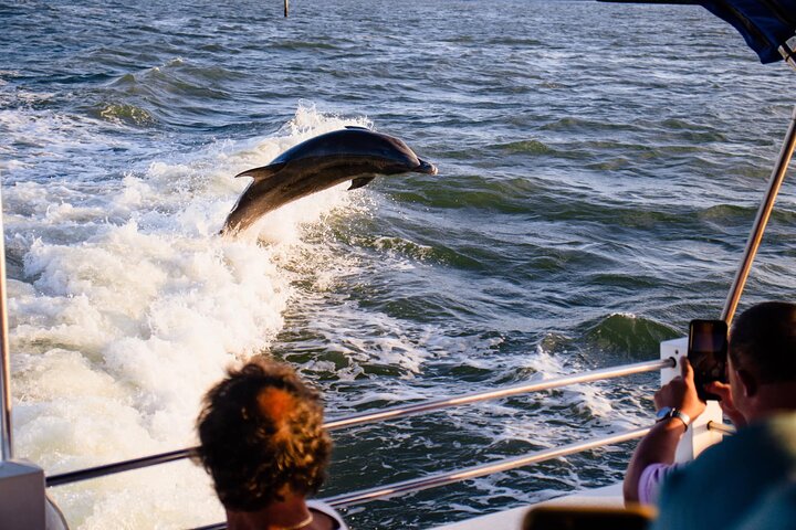 Dolphin and Shelling Cruise Tour at Fort Myers Beach