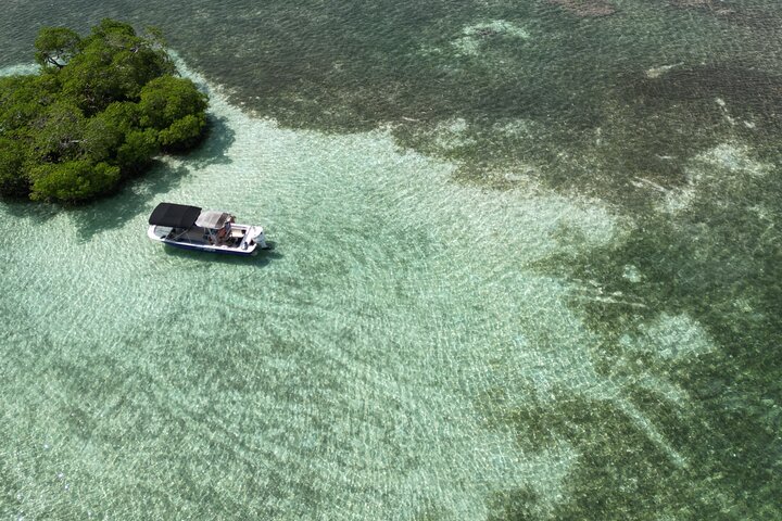 Visite guidée en français en bateau : Mangrove, ilets, snorkeling
