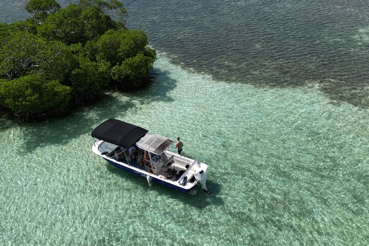 Visite guidée en français en bateau : Mangrove, ilets, snorkeling