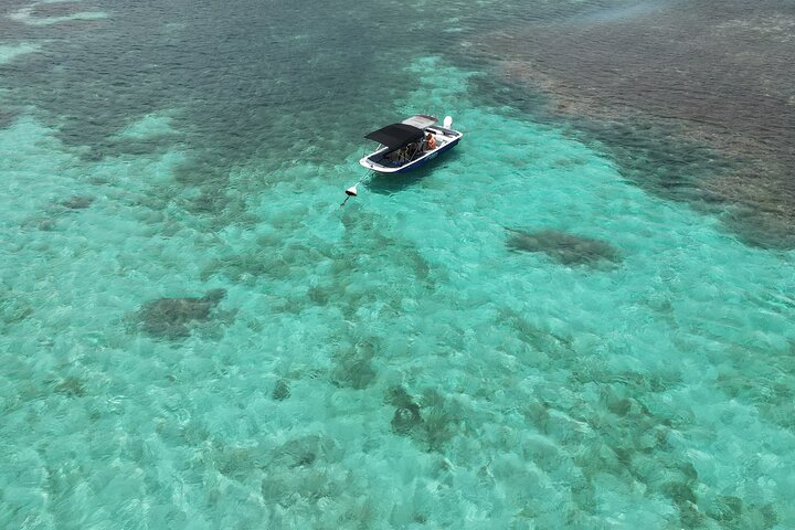 Visite guidée en français en bateau : Mangrove, ilets, snorkeling