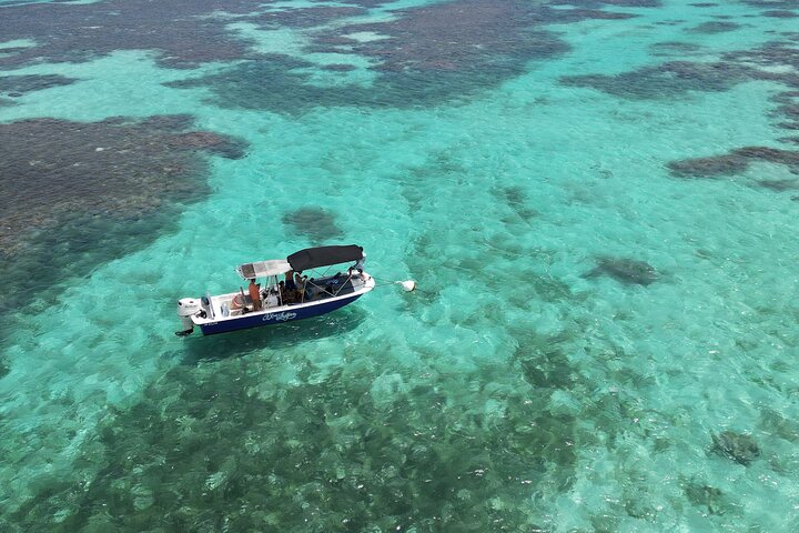 Visite guidée en français en bateau : Mangrove, ilets, snorkeling