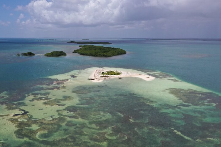 Visite guidée en français en bateau : Mangrove, ilets, snorkeling