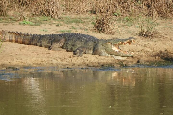 Yala National Park Safari Tour From Hambantota Port
