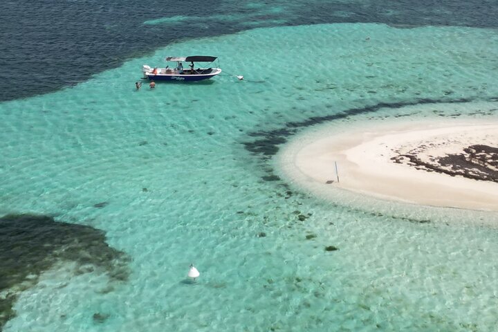 Visite guidée en français en bateau : Mangrove, ilets, snorkeling