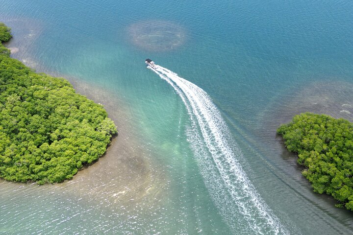 Visite guidée en français en bateau : Mangrove, ilets, snorkeling