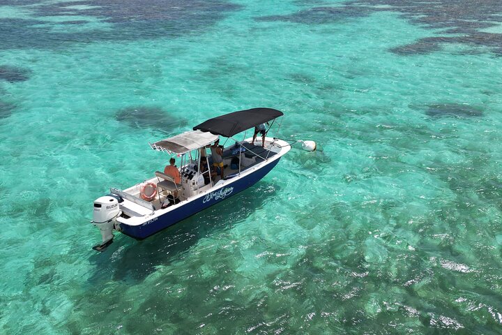 Visite guidée en français en bateau : Mangrove, ilets, snorkeling