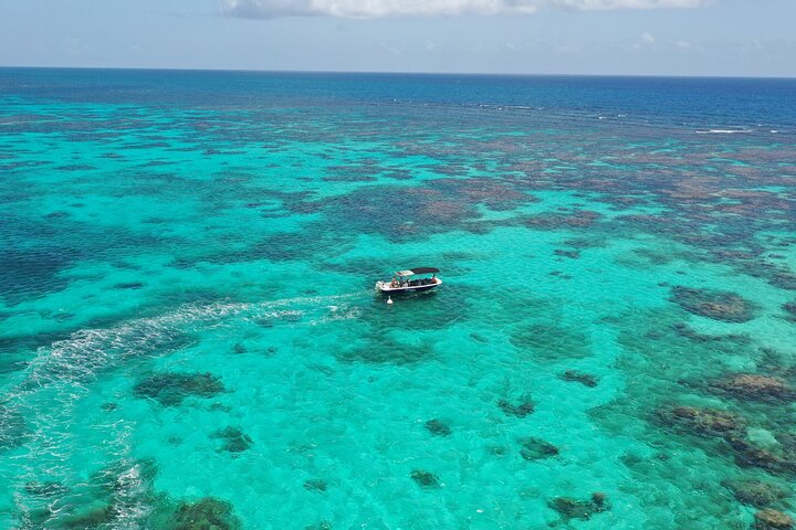 Visite guidée en français en bateau : Mangrove, ilets, snorkeling