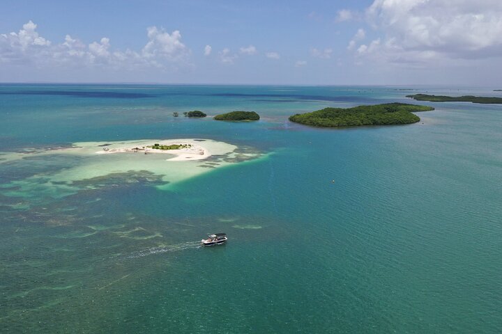Visite guidée en français en bateau : Mangrove, ilets, snorkeling