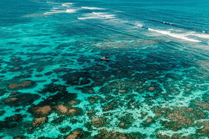 Visite guidée en français en bateau : Mangrove, ilets, snorkeling