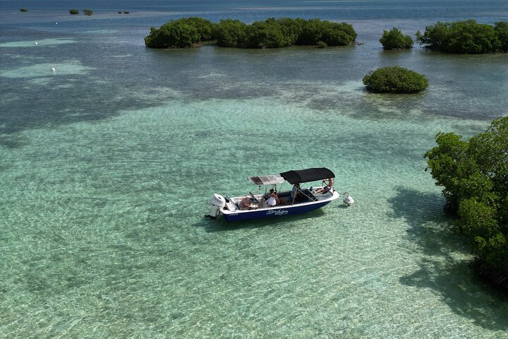 Visite guidée en français en bateau : Mangrove, ilets, snorkeling