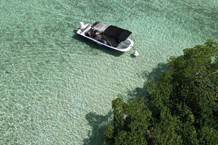 Visite guidée en français en bateau : Mangrove, ilets, snorkeling