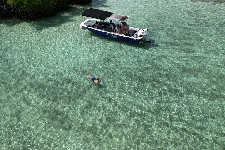 Visite guidée en français en bateau : Mangrove, ilets, snorkeling