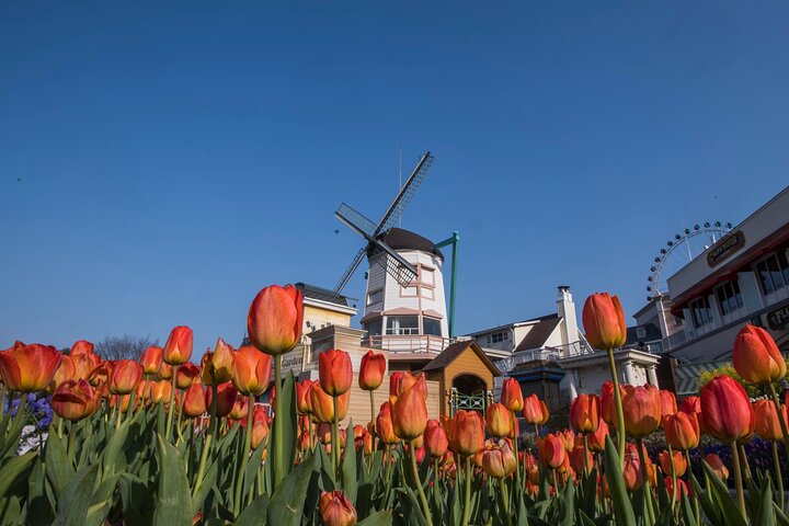 Everland Theme Park Admission Ticket with Transfer from Seoul