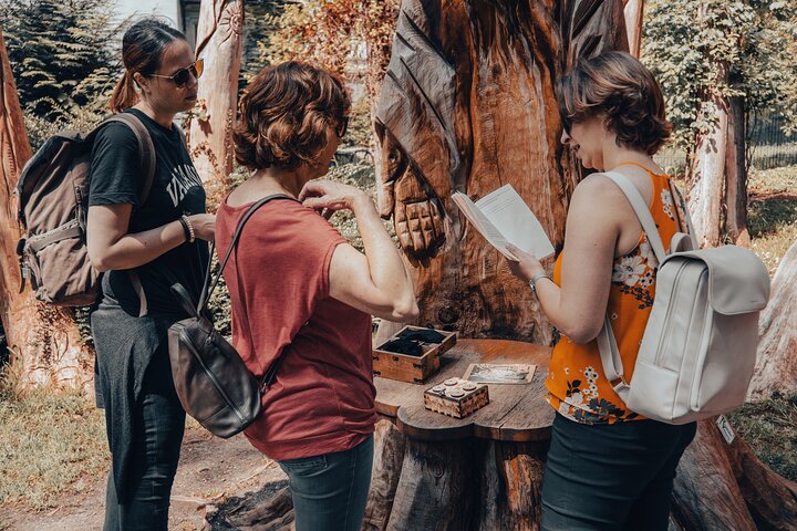Private: Outdoor Escape Game Lake Constance: Konradin's escape!